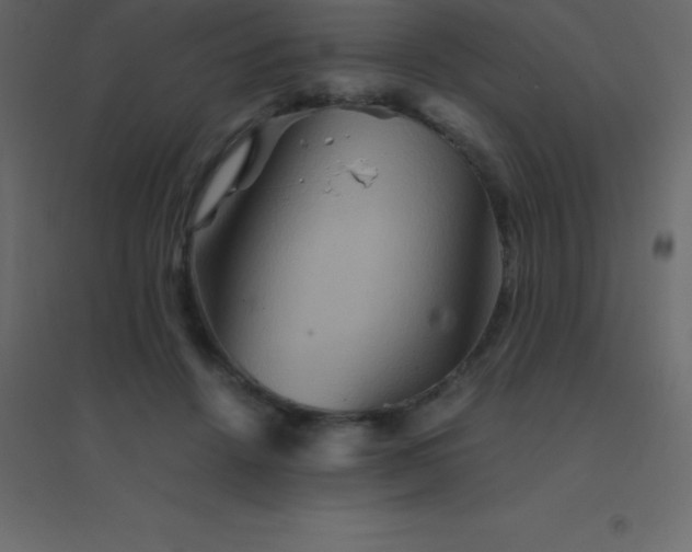 X0000094950456200712131626