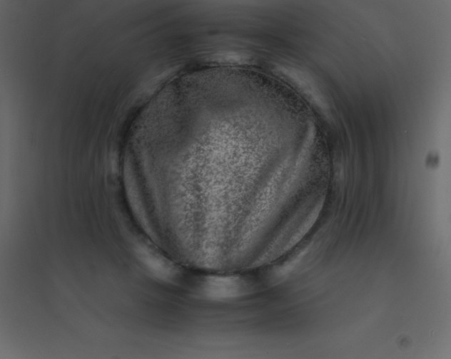 X0000094950457200712131626