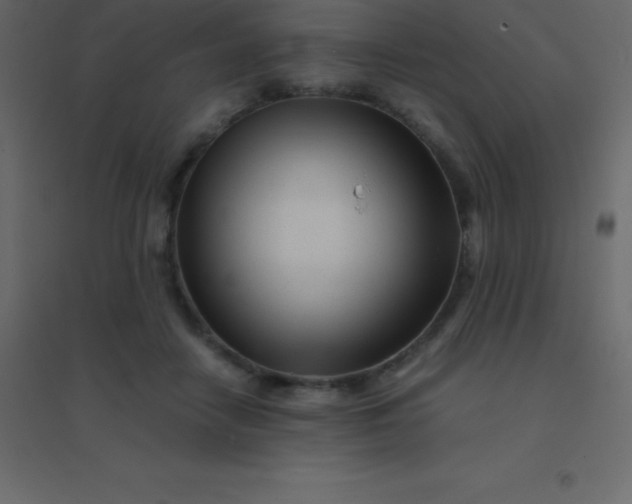 X0000094950458200712131626