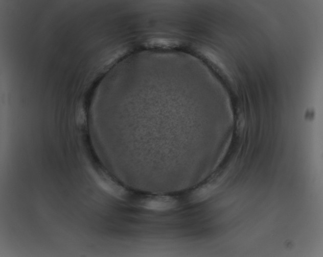 X0000094950459200712131626