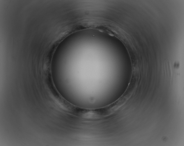 X0000094950460200712131626