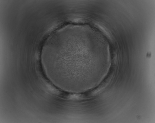 X0000094950461200712131626