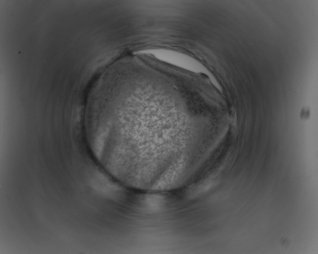 X0000094950462200712131626