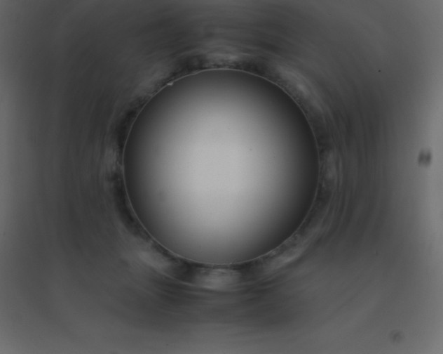 X0000094950463200712131626