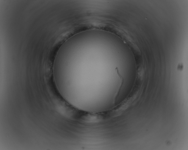 X0000094950464200712131626