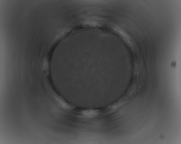 X0000094950465200712131626