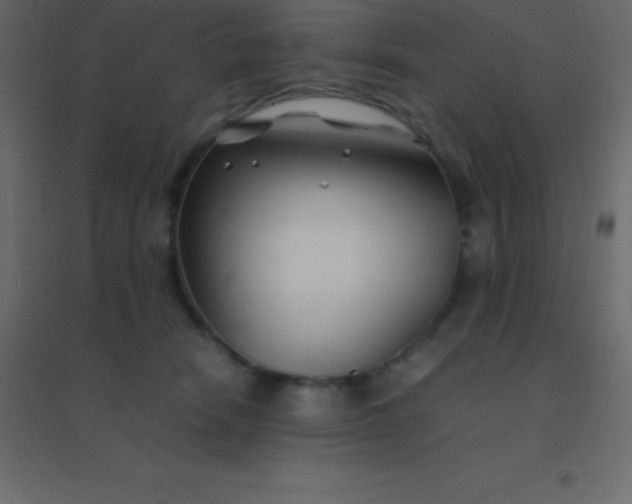 X0000094950466200712131626