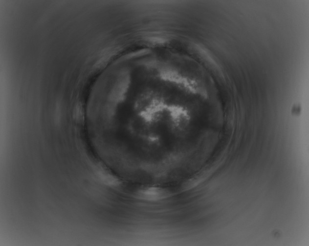 X0000094950467200712131626