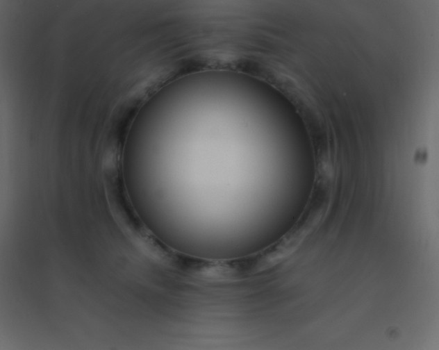 X0000094950468200712131626