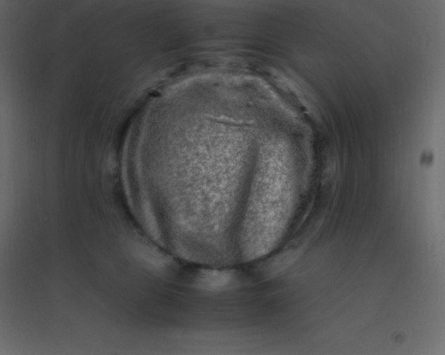 X0000094950469200712131626