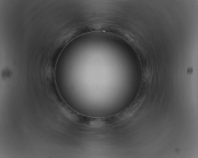 X0000094950470200712131626