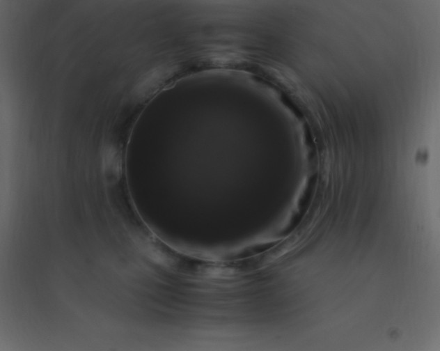 X0000094950471200712131626