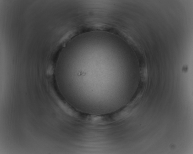 X0000094950472200712131626