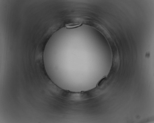 X0000094950473200712131626