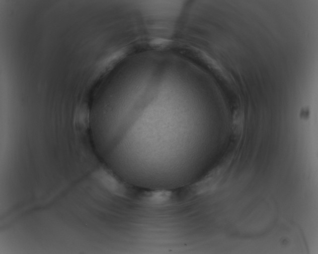 X0000094950474200712131626