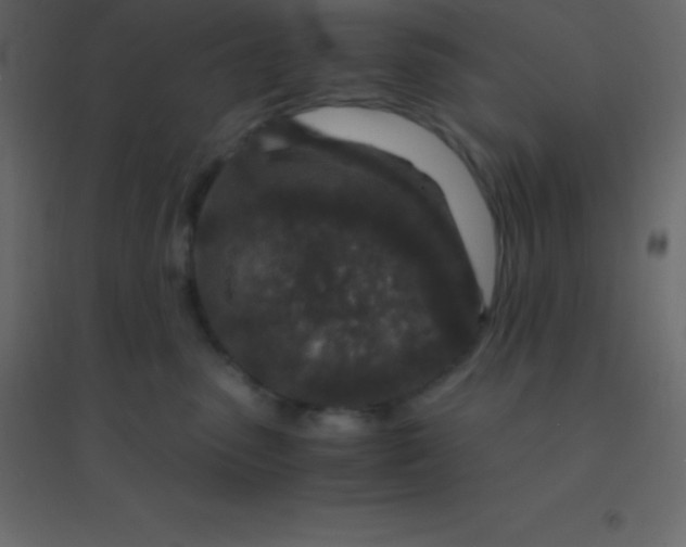 X0000094950475200712131626