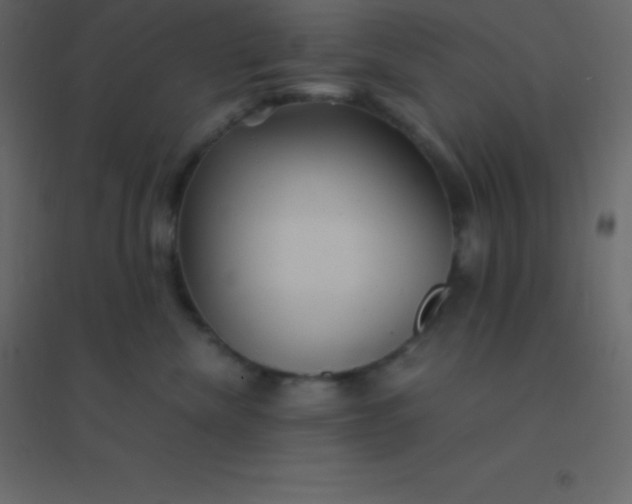 X0000094950476200712131626