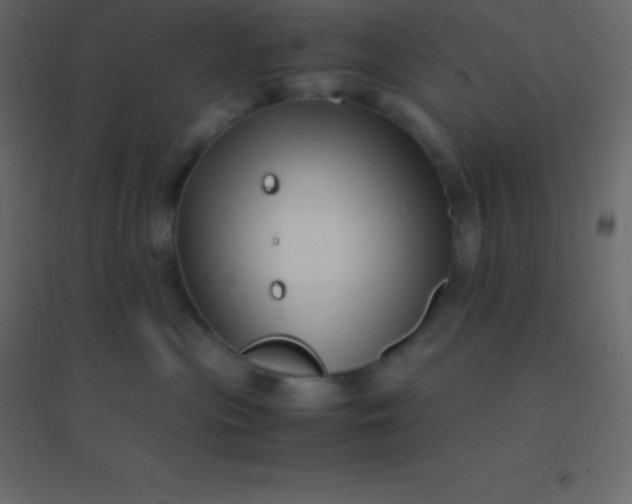 X0000094950477200712131626