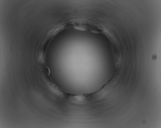 X0000094950478200712131626