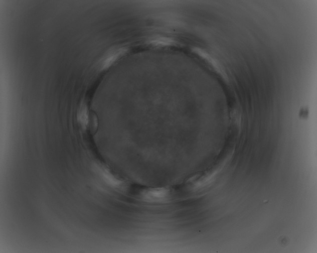 X0000094950479200712131626