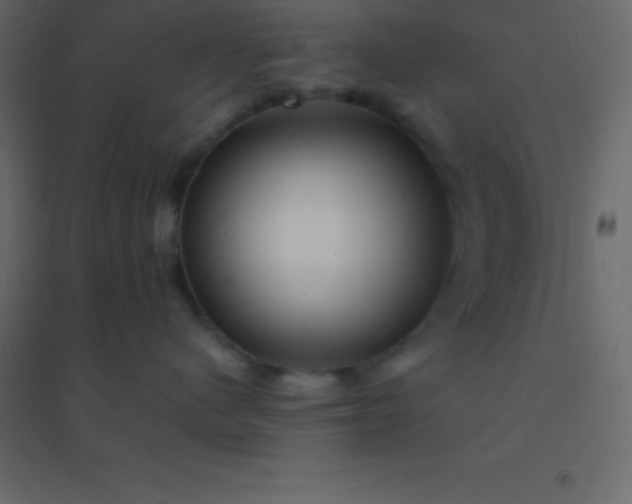 X0000094950480200712131626