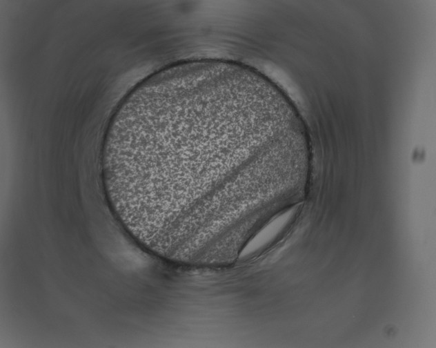 X0000094950481200712131625