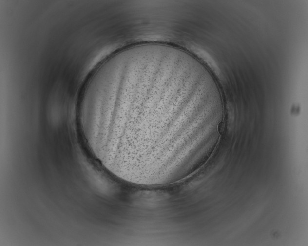 X0000094950482200712131625