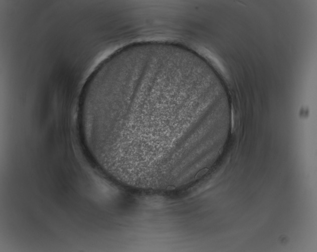 X0000094950483200712131625