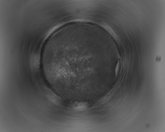 X0000094950484200712131625