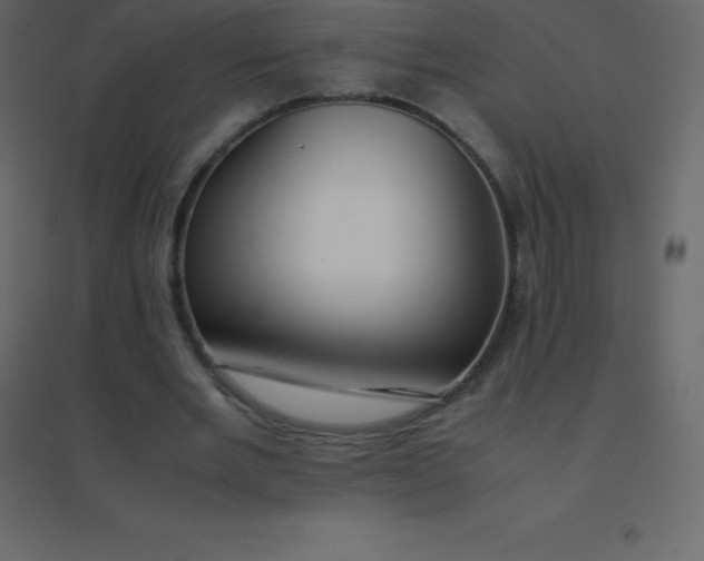 X0000094950485200712131625