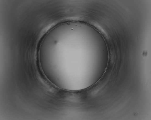 X0000094950486200712131625