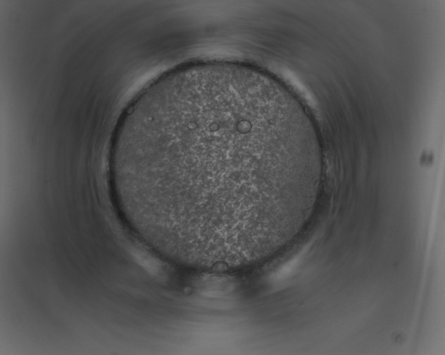 X0000094950487200712131625