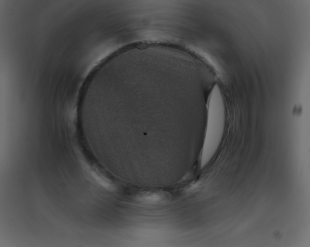 X0000094950488200712131625