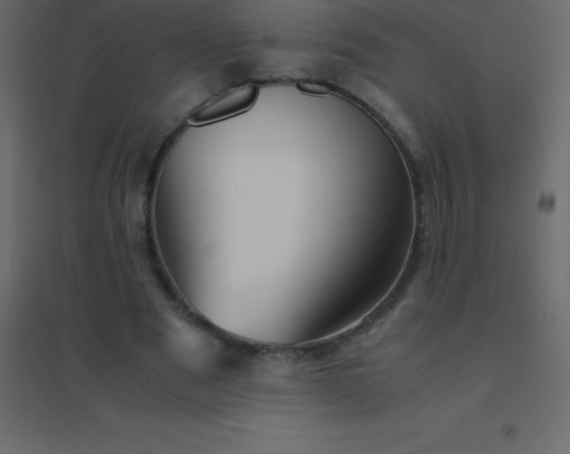 X0000094950489200712131625