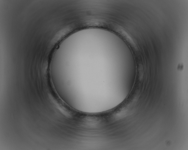 X0000094950490200712131625