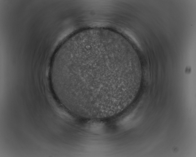 X0000094950491200712131625