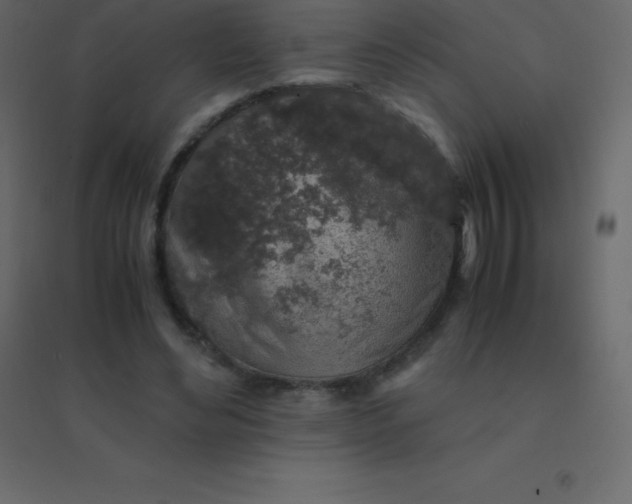 X0000094950492200712131625