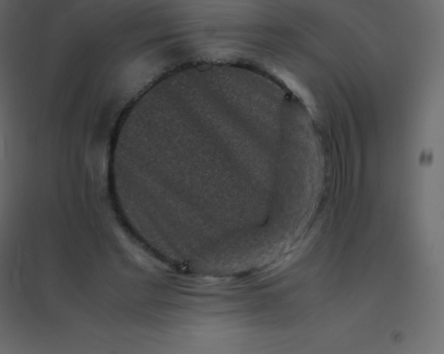 X0000094950493200712131625