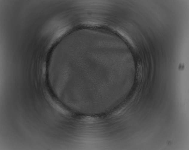 X0000094950494200712131625