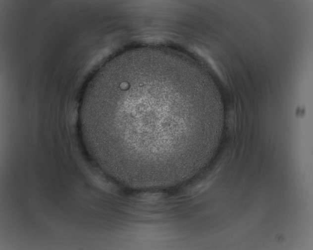 X0000094950495200712131625