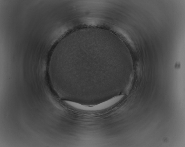 X0000094950496200712131625