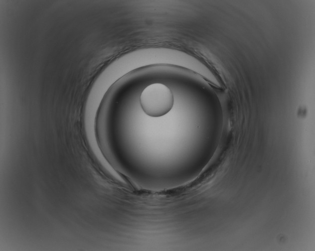 X0000094950497200712131625