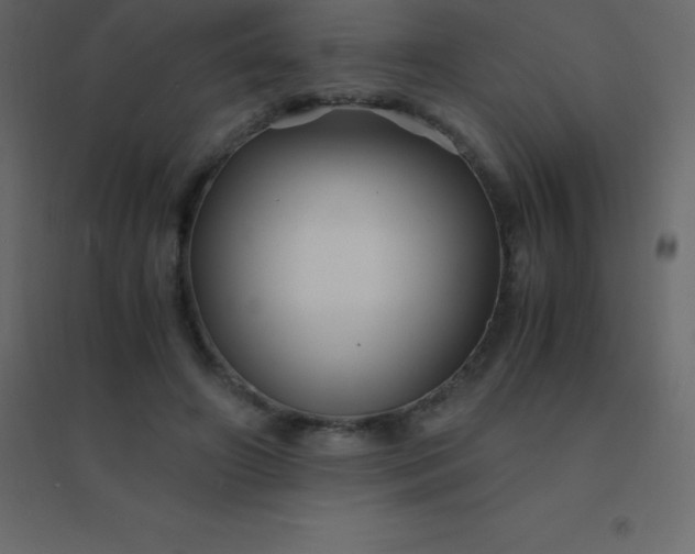 X0000094950498200712131625