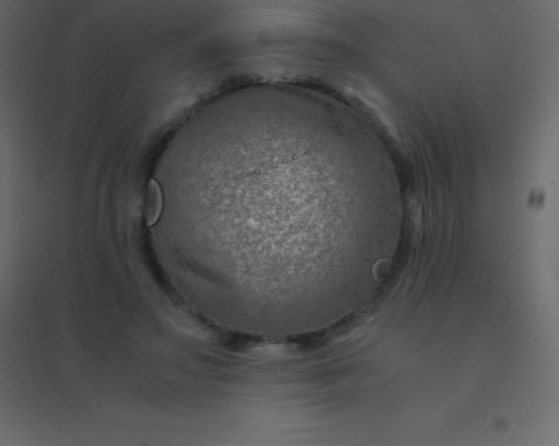 X0000094950499200712131625