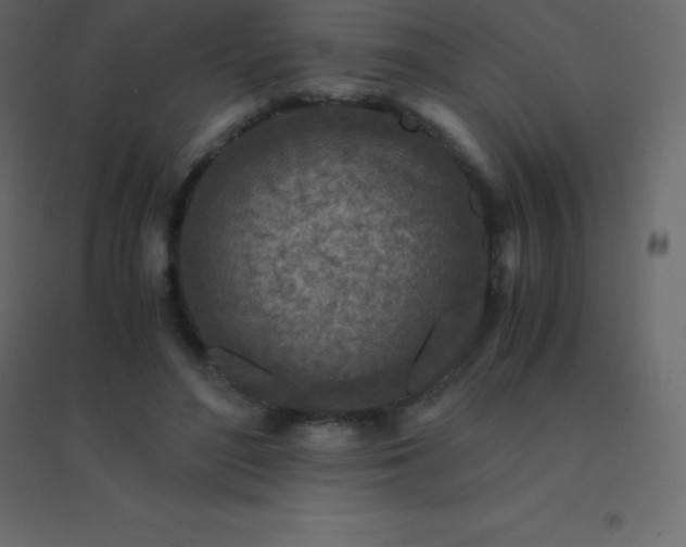 X0000094950500200712131625