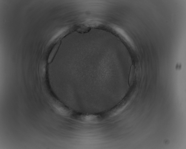 X0000094950501200712131625