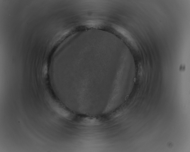 X0000094950502200712131625