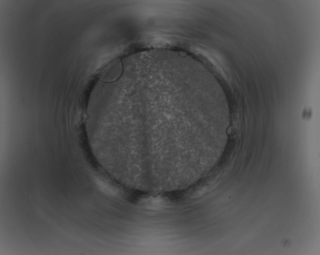 X0000094950503200712131625