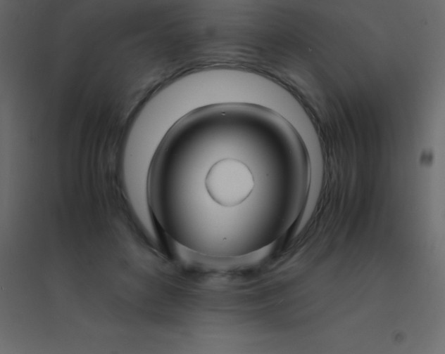 X0000094950504200712131625