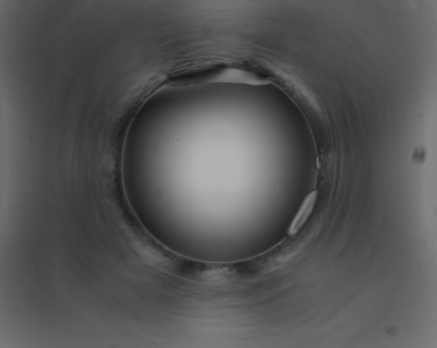 X0000094950505200712131625